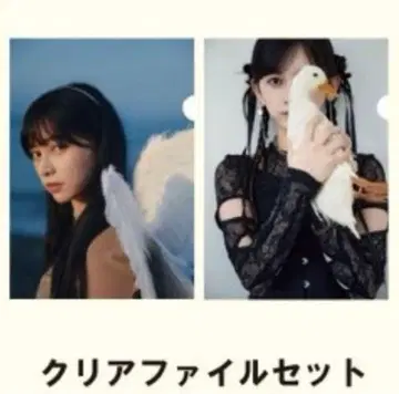 클리어 파일 세트