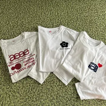 aaee & MARY QUANT T셔츠 3장 세트