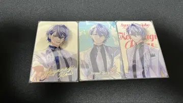 코야나기 로우 폴라로이드풍 카드 준 브라