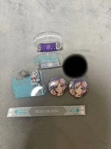 Photon Maiden 니이지마 이부키 굿즈 세트