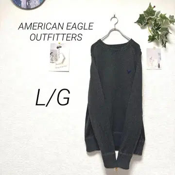 8793-1 AMERICAN EAGLE OUTFITTERS 니트 자수