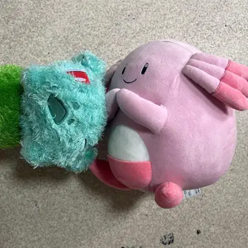 포켓몬스터 봉제 인형 럭키 푸시깃네 포켓몬