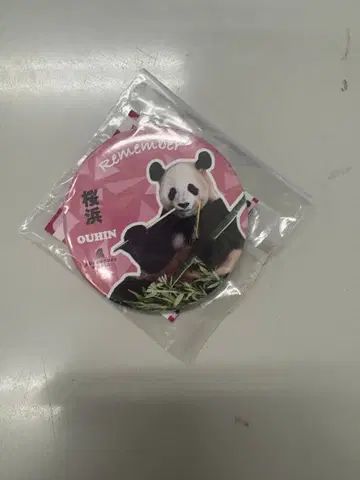 어드벤처 월드 랜덤 캔뱃지 사쿠라하마