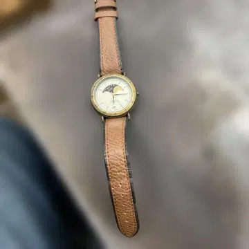 CASIO STING 손목시계