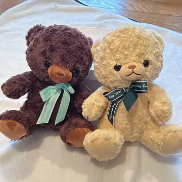 곰 봉제 인형 2개 세트