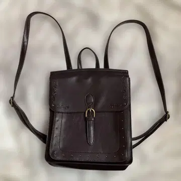 axes 퍼플 럭색/백팩