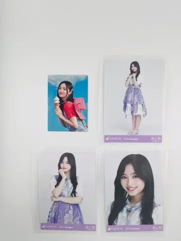 이노우에 와카 4세트 [세트 상품] YN46-5N68650