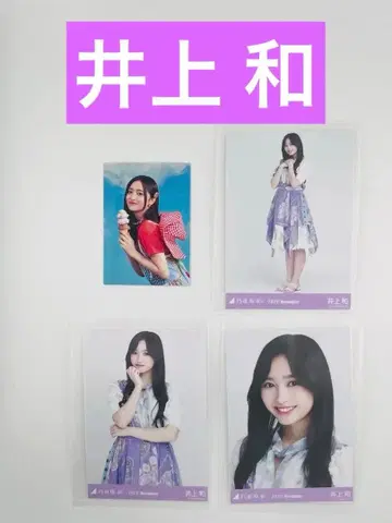 이노우에 와카 4세트 [세트 상품] YN46-5N68650