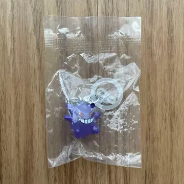 포켓몬 메지루시 액세서리 겐가