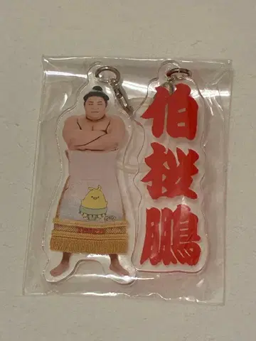 [ 미개봉 새상품 ] 하쿠오호 세키 메지루시 액세서리