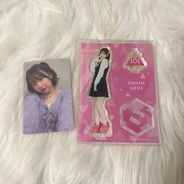 사쿠라바 하루카 아크릴 스탠드 트레이딩 카드