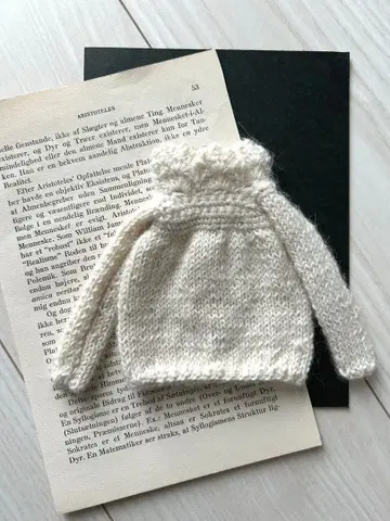 브라이스 아웃핏