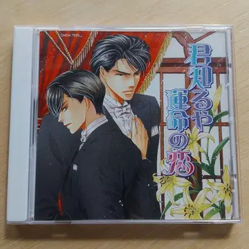 그대 알고 있나요 운명의 사랑 CD