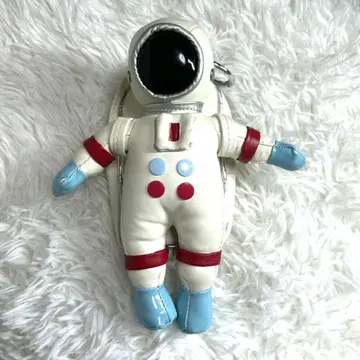 아스트로노츠 패스 파우치