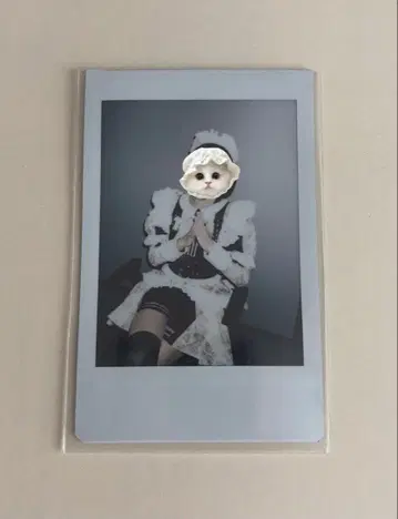 집사와 메이드 폴라로이드