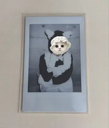 집사와 메이드 폴라로이드