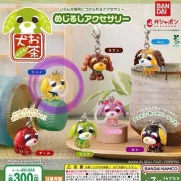 오차이누 차이 3점 묶음 판매