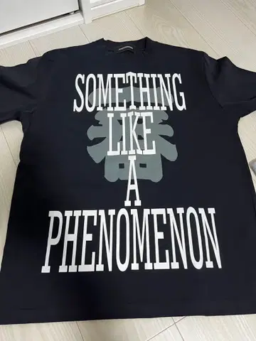 PHENOMENON SOMETHING LIKE A PHENOMENON