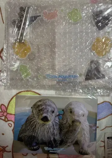 캡슐 복권 x 토바 수족관 랏코의 메이짱 복권 리턴즈! 아크릴 사진