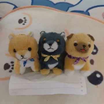 콩 시바 삼형제 (시바견) 봉제 인형 키링