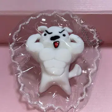 근육 시로 떡대 스퀴즈