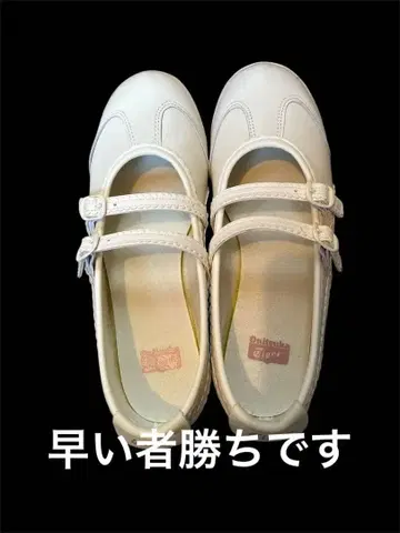 오니츠카타이거