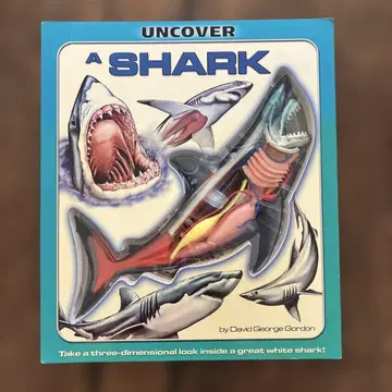 A.SHARK. by David George Gordon