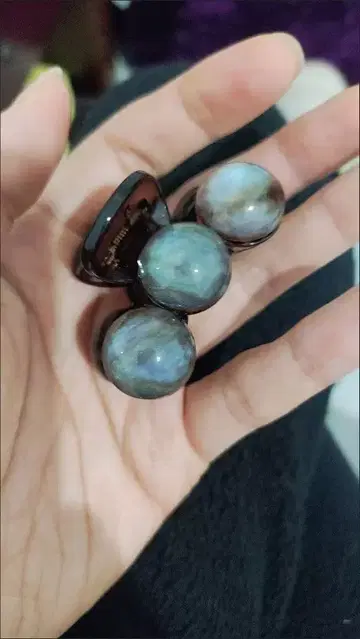 래브라도 라이트 헤어핀 3개 세트