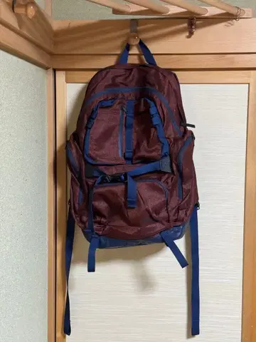 THE NORTH FACE 버건디 백팩