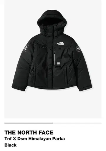 THE NORTH FACE Tnf X Dsm Himalayan Parka