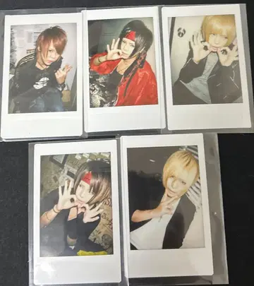 R 지정 마모 폴라로이드