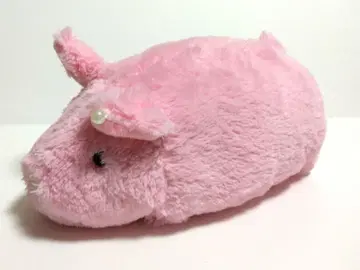 밤비나 Bam Bina 돈사마 봉제 인형 돼지