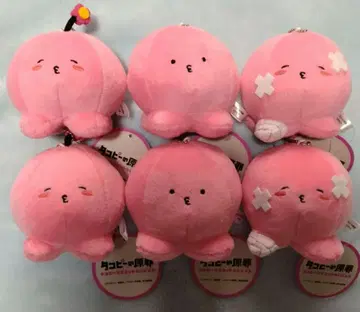 타코피 마스코트 봉제 인형 6개 세트