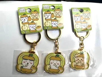 치이카와 (먼작귀) 이치카와시 키링 3개 세트