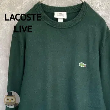 [ 캐시미어 혼방 ] LACOSTE 라이브 코튼 니트 스웨터 구제 의류