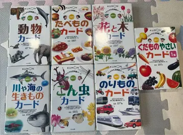 KUMON 카드 도감 세트