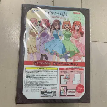 클리어 파일 세트 6세트