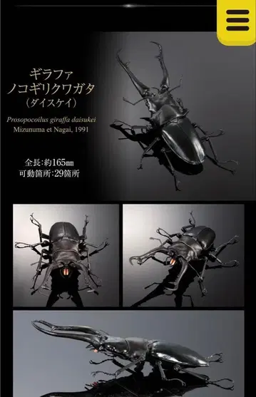 생물대도감 어드밴스