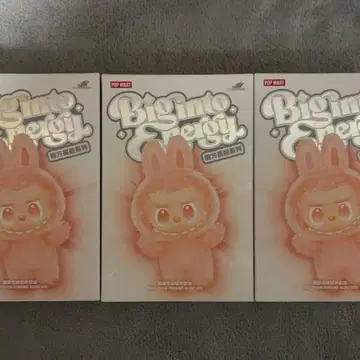 Bigmo Feggy 봉제 인형 3개 세트