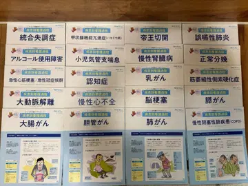 푸치 간호사 질환별 간호 과정 고든 묶음 판매 20권 세트