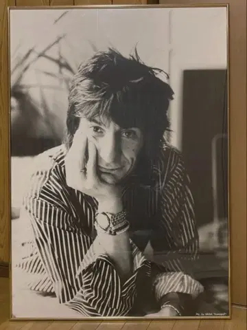 더 롤링 스톤즈/론 우드 대형 사진 패널 (액자 포함)