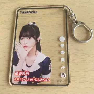 호시야 미라이 타카네노 나데시코 아크릴 키링