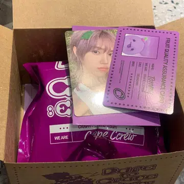 cravity ccrew 성민 타미힐피거 트레이딩 카드 봉제 인형