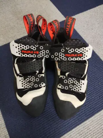 스포르티바 미우라 VS 우먼 (Miura VS Woman)