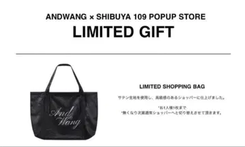 andwang 한정판 쇼핑백 백 limited shopping bag