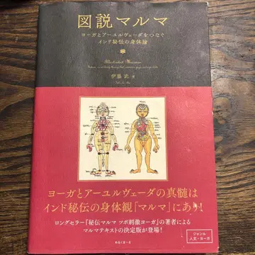 도설 마루마 = Illustrated Marman : 요가와 아유르베 -