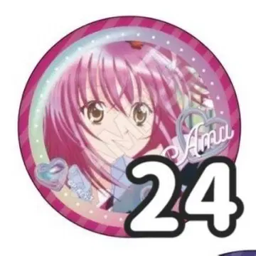 수호캐릭터 캔뱃지 24개 히나모리 아무 암니버스