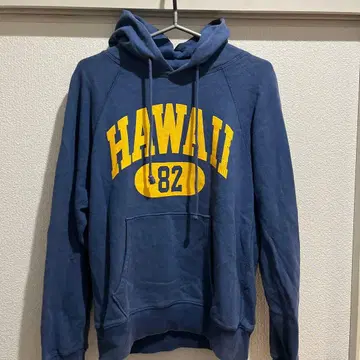 챔피온 하와이 하와이안 알로하 후드티 빈티지