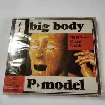 big body P-model 견본반