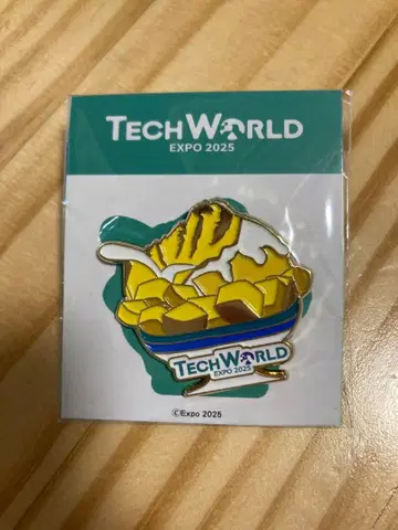 TECH WORLD EXPO 2025 핀 배지